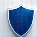 Privacy Shield Icon representing data security